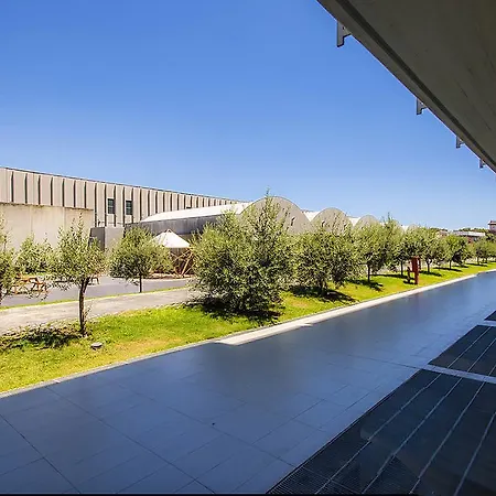 International Airport Catania